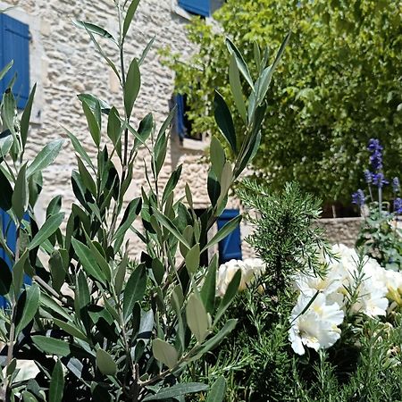 Namaste Home, Votre Havre De Paix A St Remy ! Parking Wifi Inclus Saint-Rémy-de-Provence Екстериор снимка